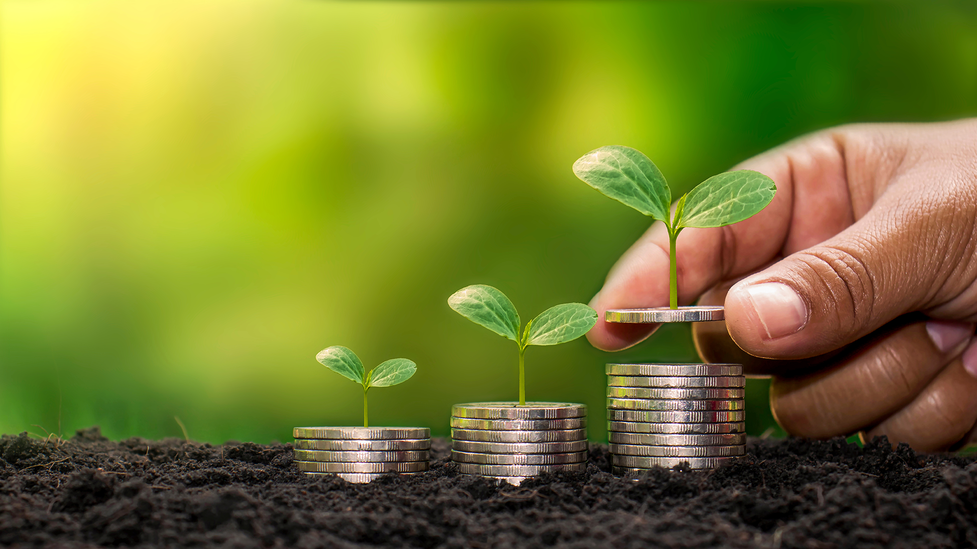 Sustainable Impact